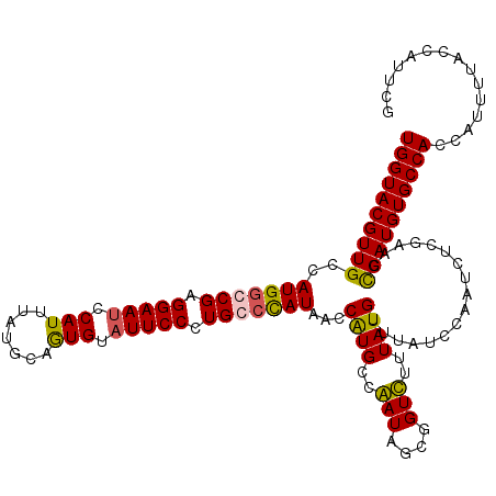 secondary structure