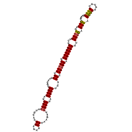 secondary structure