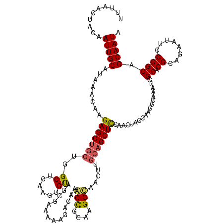 secondary structure