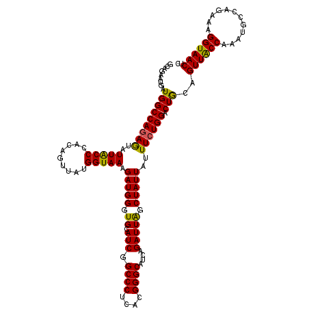 secondary structure