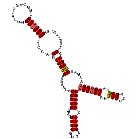 secondary structure
