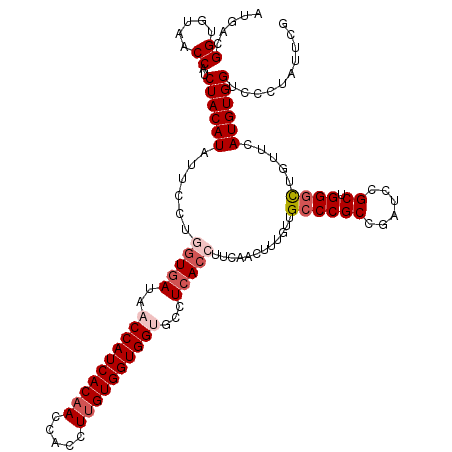 secondary structure