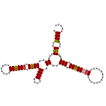 secondary structure
