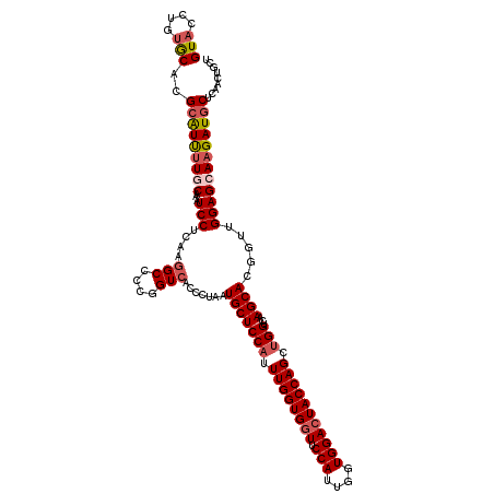 secondary structure