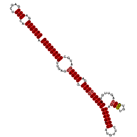 secondary structure