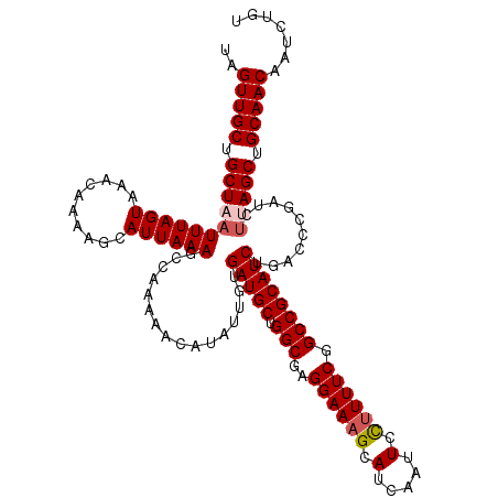 secondary structure