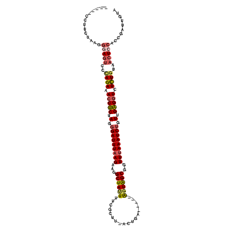 secondary structure