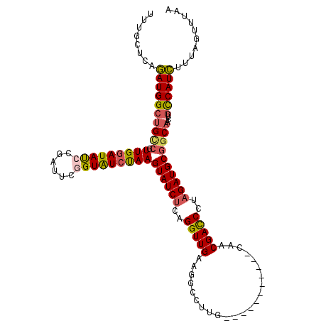 secondary structure