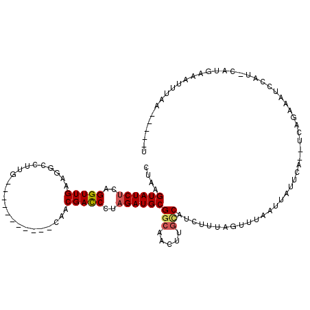 secondary structure