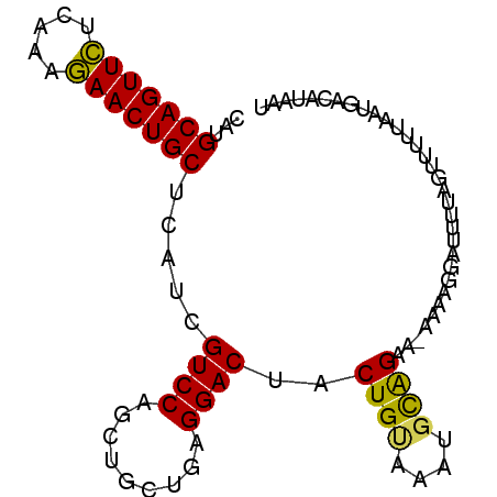 secondary structure