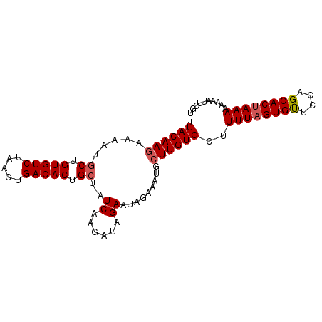 secondary structure
