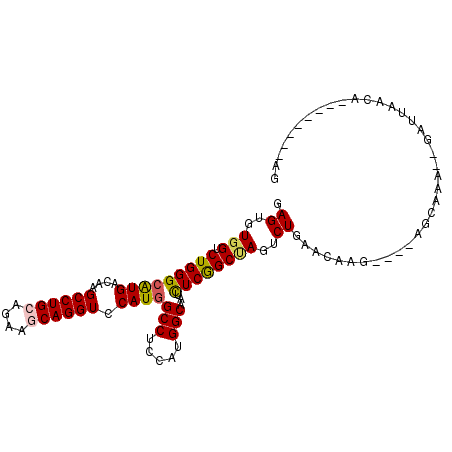 secondary structure