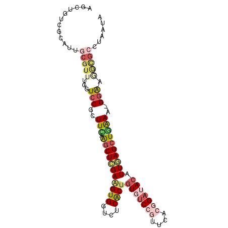 secondary structure