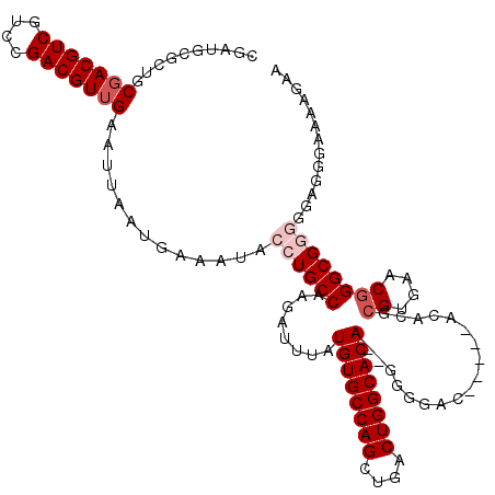 secondary structure