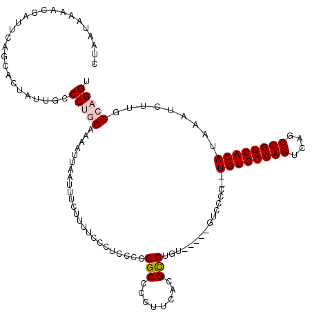 secondary structure