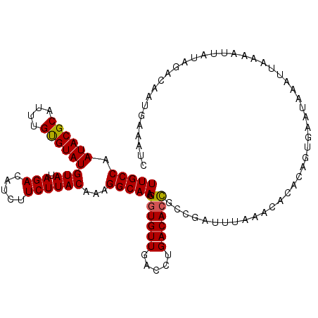 secondary structure