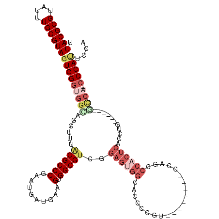 secondary structure