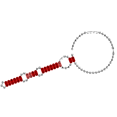 secondary structure