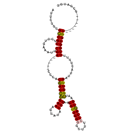 secondary structure