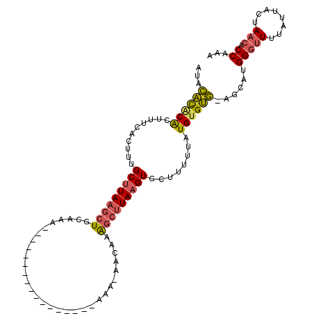 secondary structure
