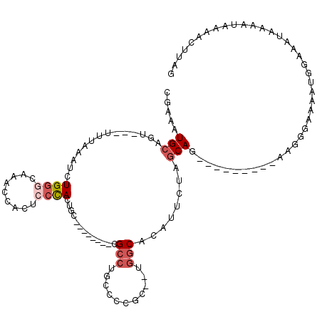 secondary structure