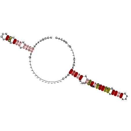 secondary structure