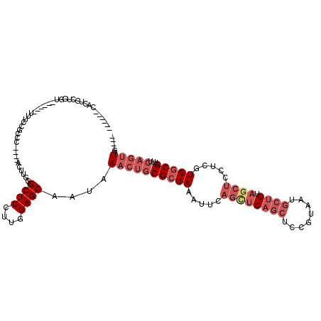 secondary structure