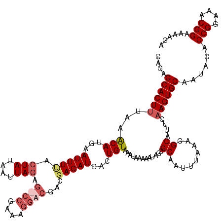 secondary structure
