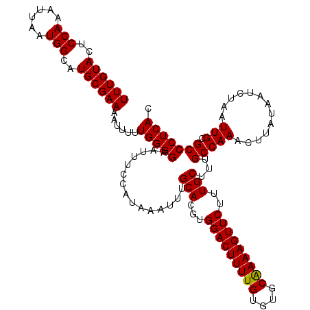 secondary structure