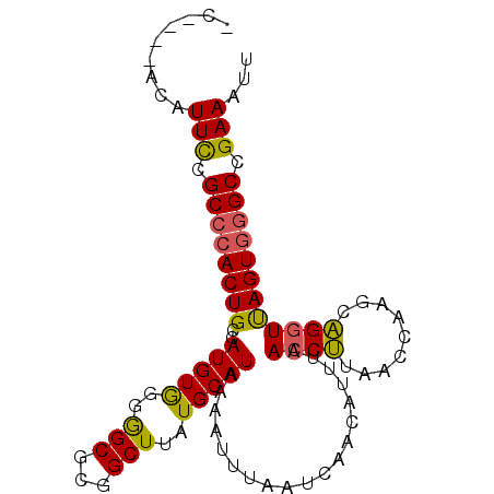 secondary structure