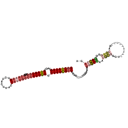 secondary structure