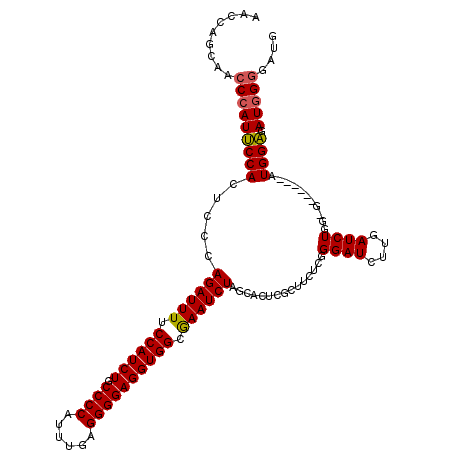 secondary structure