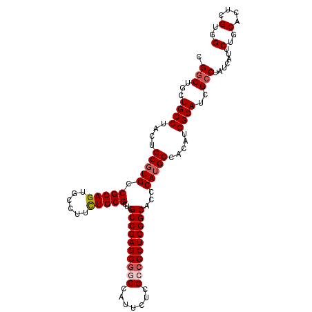 secondary structure