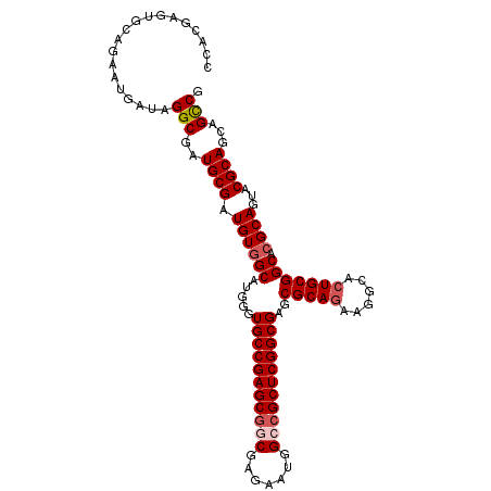 secondary structure