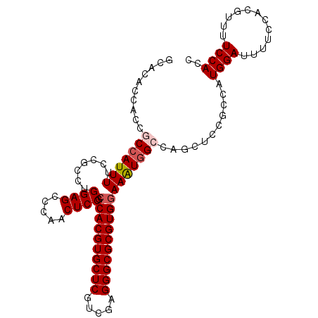 secondary structure