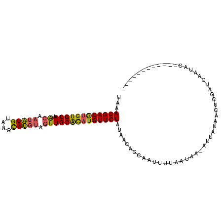 secondary structure