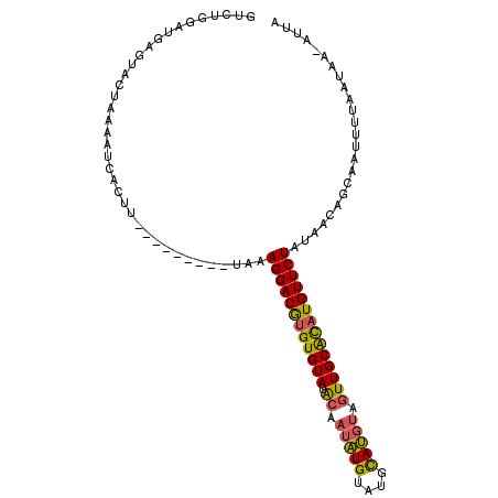secondary structure