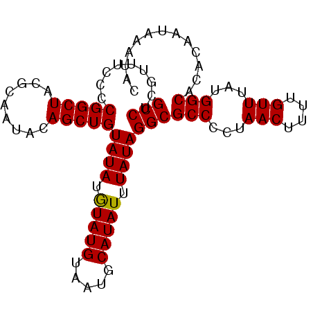 secondary structure