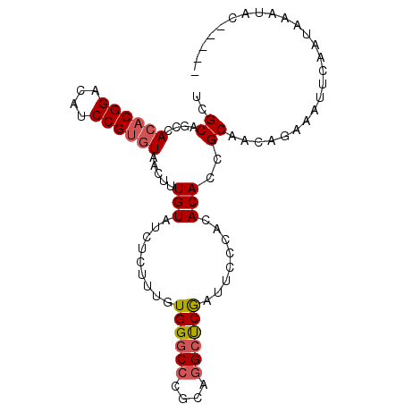 secondary structure