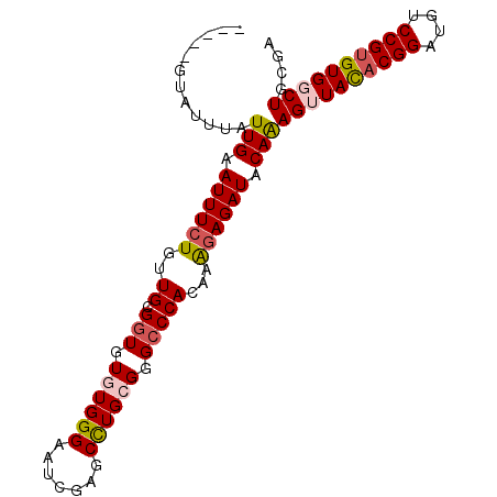 secondary structure