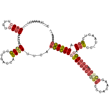 secondary structure