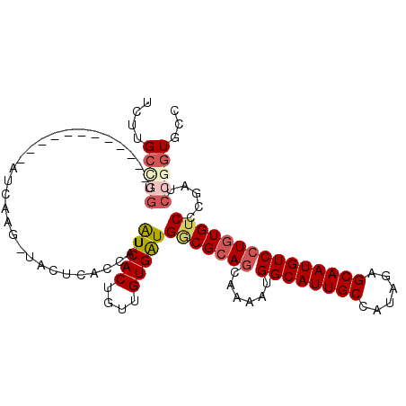 secondary structure