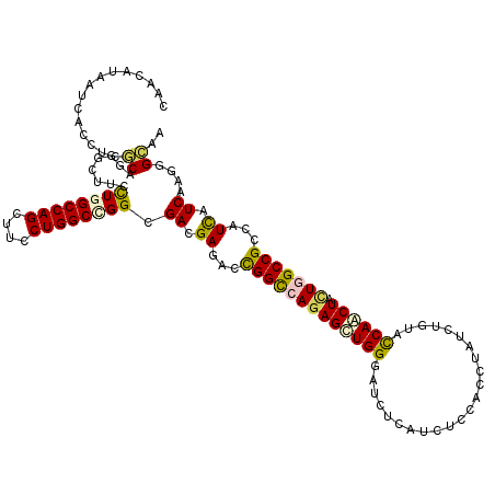 secondary structure