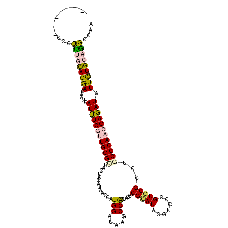 secondary structure