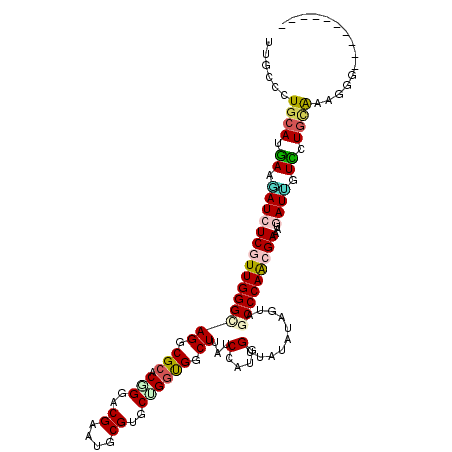 secondary structure