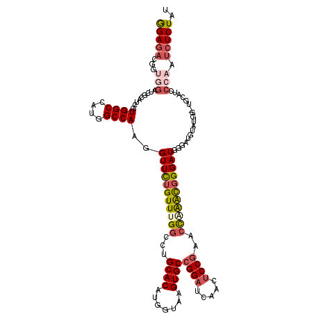 secondary structure