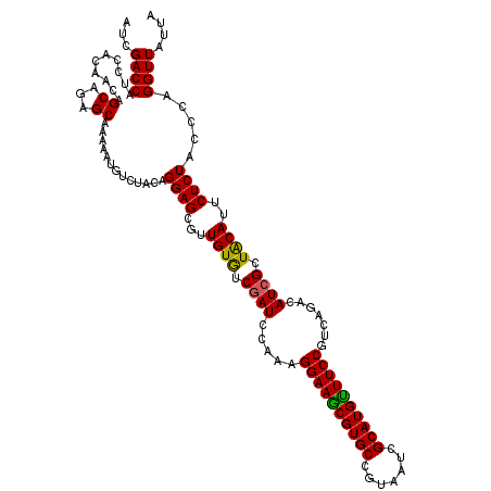 secondary structure