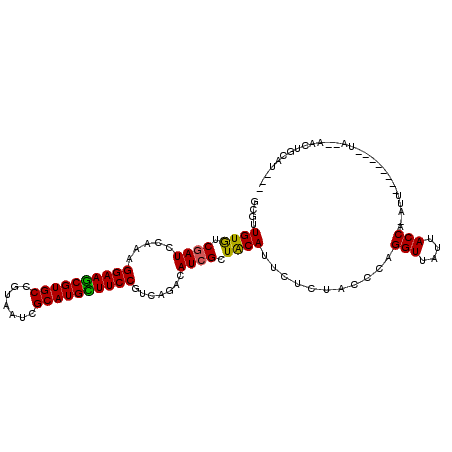 secondary structure