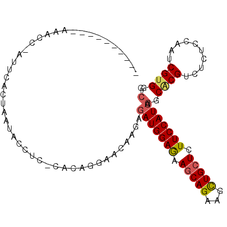 secondary structure