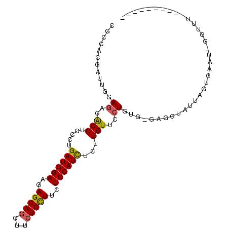 secondary structure